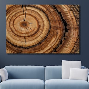May include: A close-up of a tree trunk cross-section, showing the concentric rings and cracks in the wood. The wood is a warm brown colour with darker brown streaks.