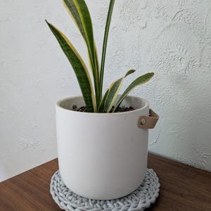 May include: A white ceramic plant pot with a leather handle contains a snake plant with green and yellow striped leaves. The pot rests on a round, light grey crocheted coaster, on a dark brown wooden surface.