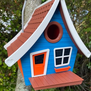 Delightfully Tooned Birdhouse - Add Fun Charm to Your Yard