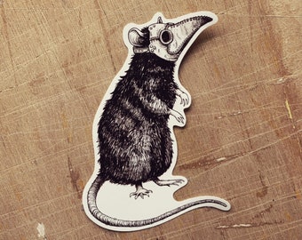 Plague Rat Sticker - Vinyl Sticker