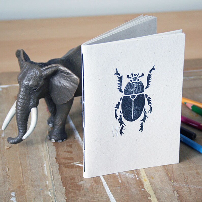 Dung beetle poop picture