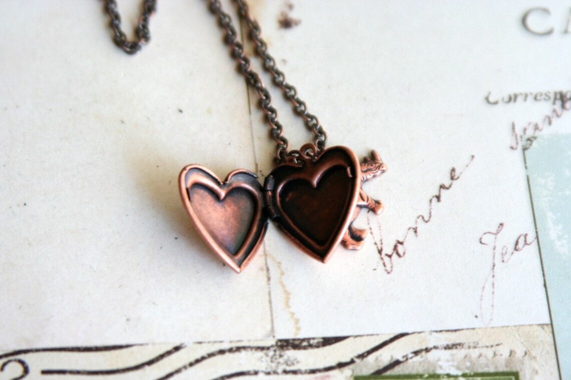 Rhino. heart locket necklace. copper ox Etsy