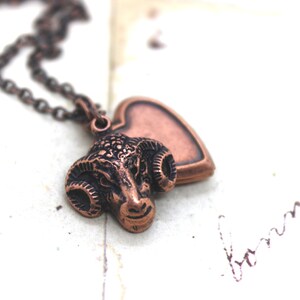 May include: A copper necklace with a ram's head charm and a heart-shaped locket. The locket is open and the chain is visible.