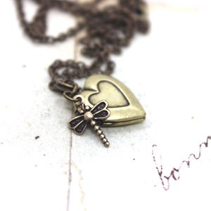 coeur de libellule. collier médaillon. Bijoux en laiton de petite taille