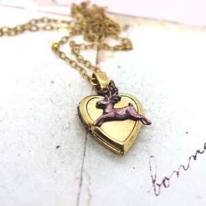 Collar con medallón en forma de corazón de ciervo en oro buey con ciervo buey de cobre y argolla.