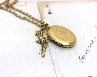 parrot oval locket necklace. in gold ox jewelry