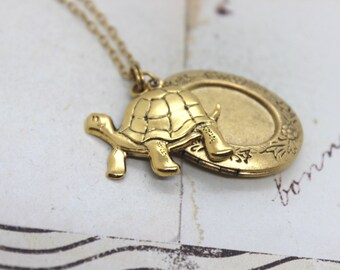 turtle oval locket necklace. in gold ox jewelry