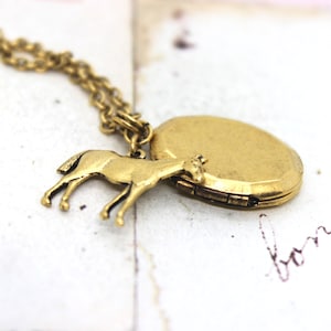paard. hart medaillon ketting. in goudos