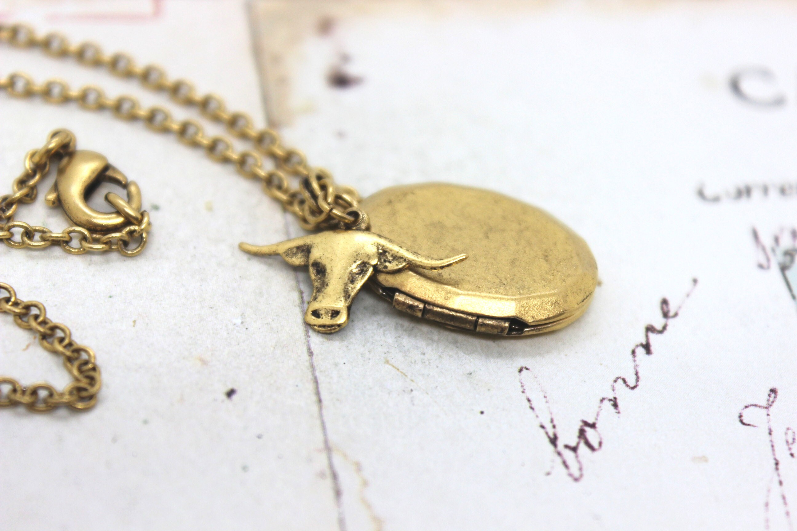 bull. locket necklace. in gold ox jewelry