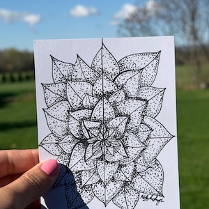 May include: A black and white botanical illustration of a flower with detailed leaf patterns and stippling. The artwork is held against a backdrop of a sunny outdoor scene with a blue sky and green grass.