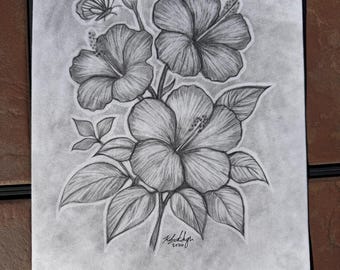 Original Pencil Drawing: “Hibiscus Bunch No. 1” signed by Kelsey McHugh (8.5”wide by 11” long)