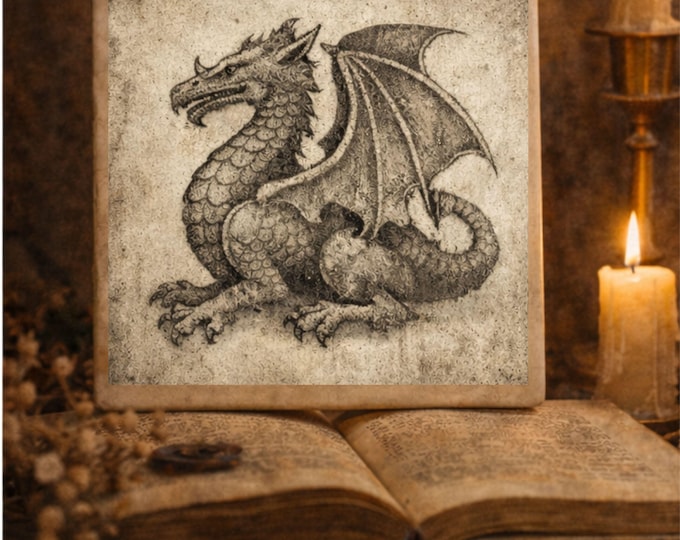 Medieval Heraldic Tile | Lion shield dragon decor