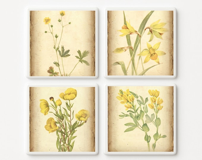 Set of 4 Yellow Wildflower Botanical Ceramic Tiles