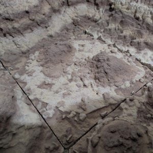 May include: A square tile featuring a textured, uneven surface with a raised, rugged relief pattern. The material displays a mottled color palette of earthy brown, tan, and off-white tones, creating a topographical appearance with deep crevices.