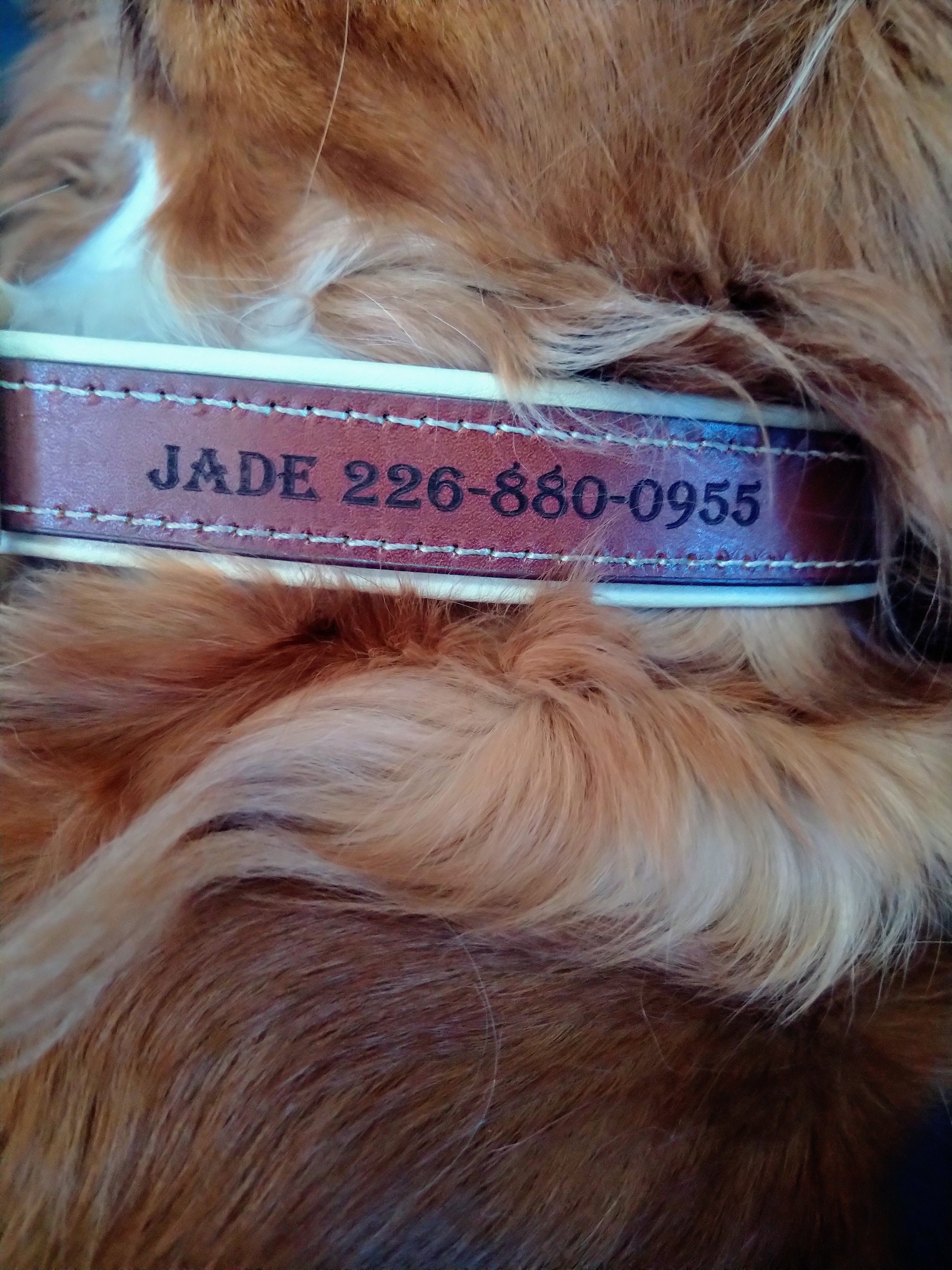 Collare Per Cani Largo In Pelle PU Nome ID Inciso Personalizzato Collare Per Cani Grande Collare Per Cani Anti-perso Personalizzato Collare Per Cani Grande Regolabile,Rosa,XXL - Foto 6