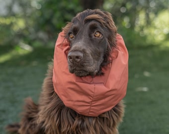 Snood épais imperméable « Orange » - Snood pour chien - Snood pour chien imperméable - Cocker cavalier basset caniche setter snood - snood épagneul -