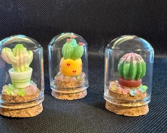 May include: Three small glass jars with cork lids, each containing a miniature cactus plant. The cacti are green and yellow with pink accents. The jars are filled with small, colorful stones.