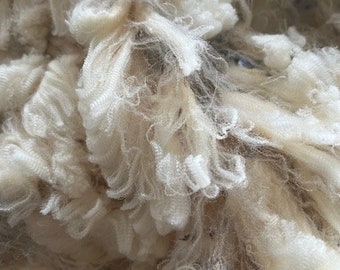 COVERED Raw  MERINO WOOL Fleece in natural cream  for spinning/felting