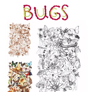 May include: A set of four printable images featuring various bugs, including butterflies, beetles, spiders, and dragonflies. The images are in color, grayscale, and brown tones. The text "BUGS" is at the top of the page. The text "2 high resolution images of BUGS 1 grayscale image and 1 brownscale image to color the original image in watercolor" is at the bottom of the page.