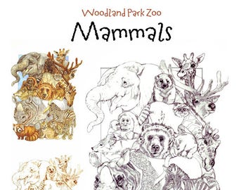 Zoo Mammals,animals,high resolution digital download adult coloring pages,PDF,grayscale AND brownscale image to color,printable,coloring fun