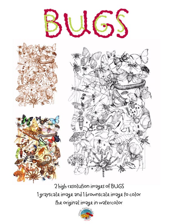 BUGs! Hand Drawn PDF, High Resolution Digital Download Coloring pages, Grayscale AND Brownscale plus full color printable image,detailed FUN