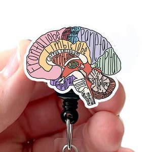Anatomical Brain Acrylic Badge Reel, Neuro Nurse, Neurology, Brain Anatomy, Nurse Badge, RN Badge, Badge Holder, Swivel Clip, Belt Clip