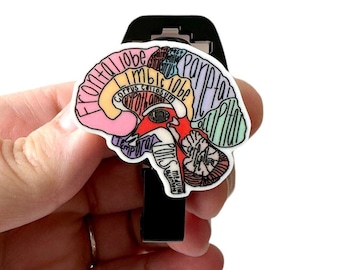 MRI Safe Badge Holder - Brain Anatomy Acrylic, Retractable Badge Holder, Non Ferrous Badge,  MRI Tech Gift, MRI Safe Badge Reel