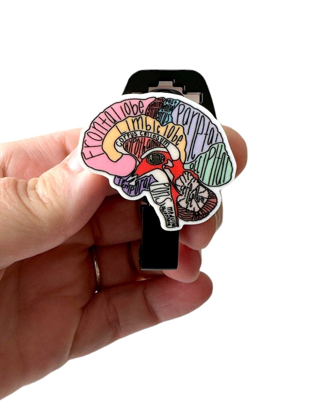 MRI Safe Badge Holder Brain Anatomy Acrylic, Retractable Badge Holder