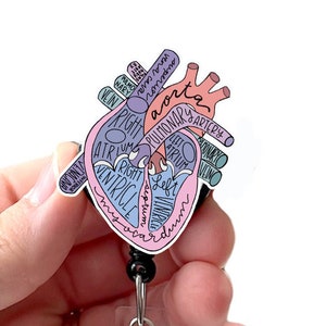 Anatomical Heart Acrylic Badge Reel, Cardio Nurse, Cardiology, CICU Nurse, Heart Anatomy, Swivel Alligator Clip, Slide Clip, MRI Safe Badge