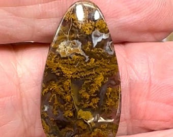 Filament Agate - San Carlos Mexico,  Gemstone Cabochon