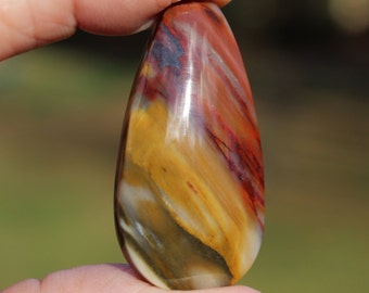 Petrified Wood Cabochon Large 2 Sided