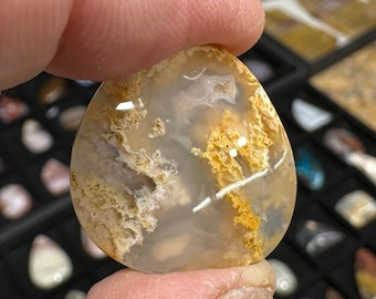 Plume Agate-Graveyard Point Cabochon