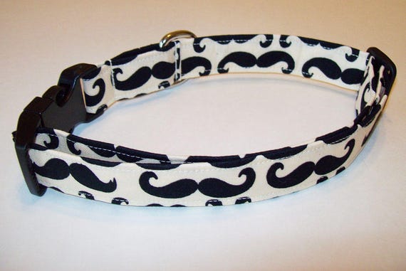 awesome dog collars