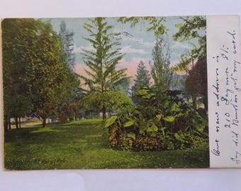 Syracuse New York Walnut Park 1909 Vintage Postcard