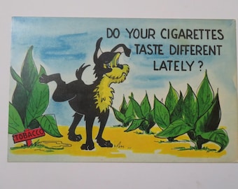 does your tobacco taste different lately Comparison of smoking conventional cigarettes and using heated tobacco products "Does your tobacco taste different