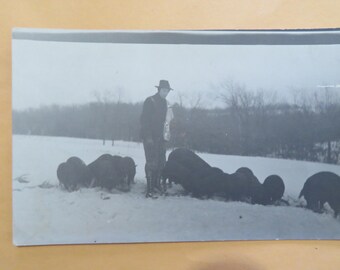 Hog Farmer Farming RPPC Vintage Postcard / Real Photo Postcard Early 1900s