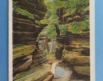 Postcard Wisconsin: In Cool Depths of Cold Water Canyon, Dells of the Wisconsin River