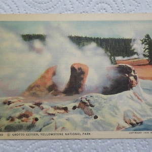 Yellowstone National Park: Grotto Geyser Vintage Postcard /Travel Souvenir