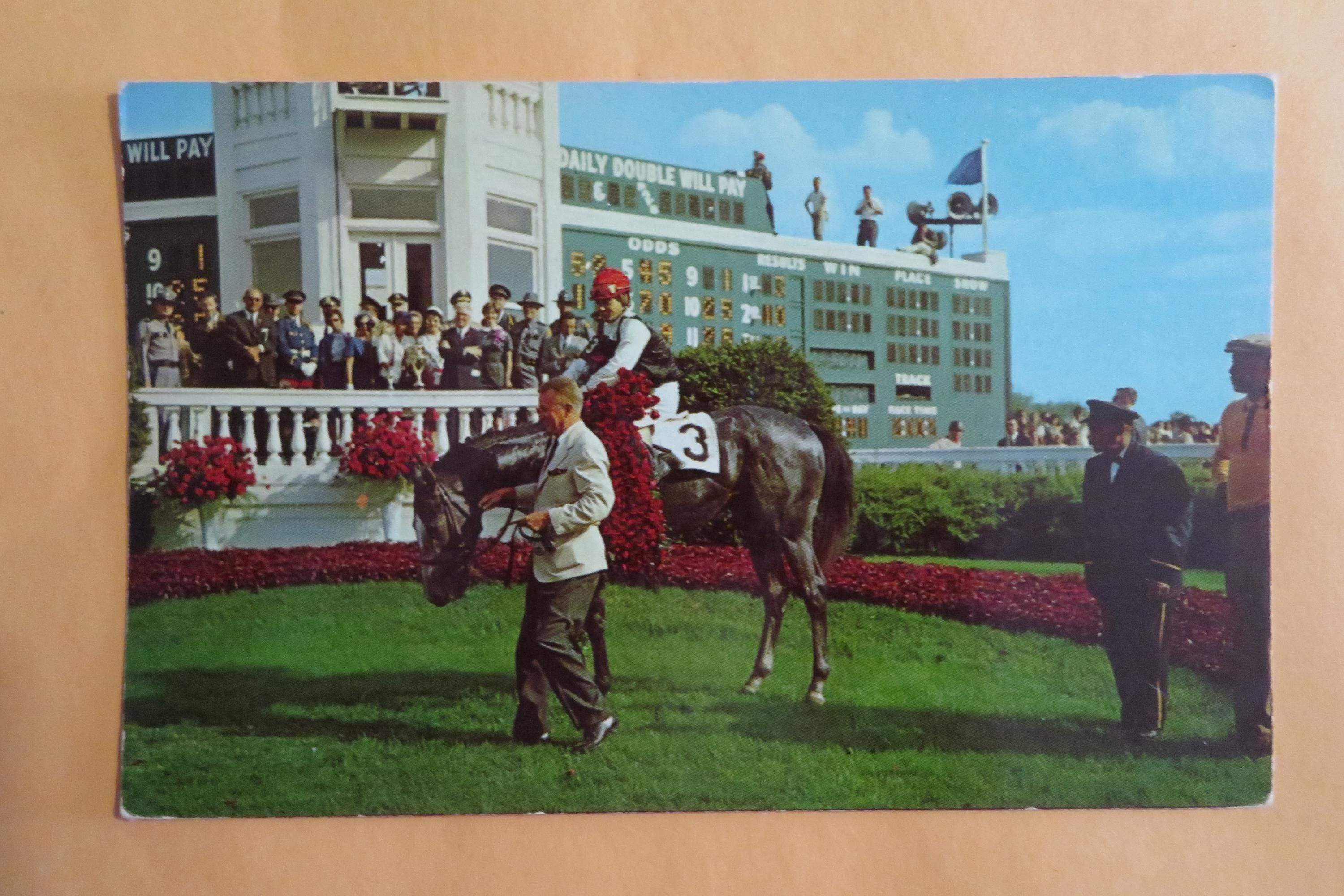 Race Horse 