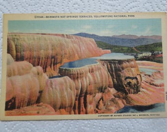 Yellowstone National Park: Mammoth Hot Springs Terraces Vintage Postcard/Travel Souvenir