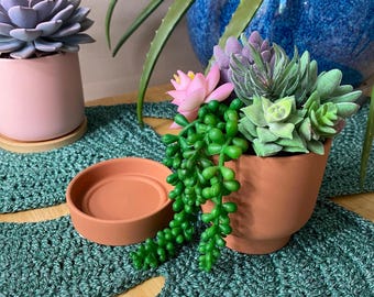 Succulent Arrangement Lifelike Decor Terracotta Planter 4” with Saucer and Decorative Rocks