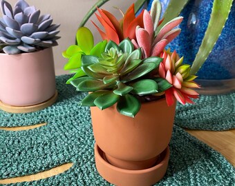 Succulent Arrangement Lifelike Decor Terracotta Planter 4” with Saucer and Decorative Rocks