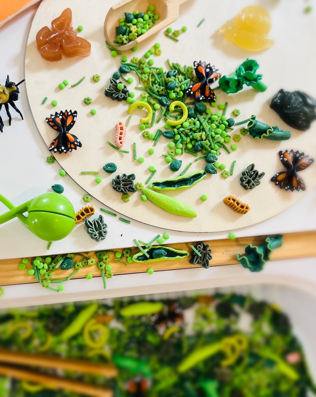 Insects, Critters, Preschool, Sensory, Montessori, Pasta, Food, Calm ...