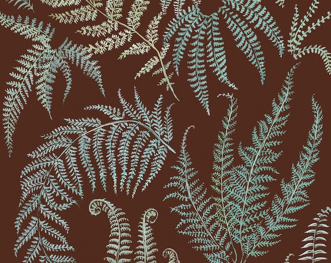 Fern Floor - Print