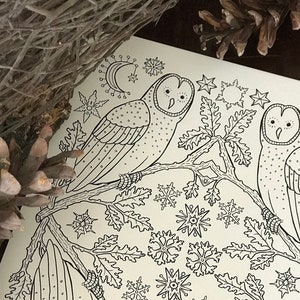 In the Winter Woods Coloring Page - Winter Owls - Digital Download