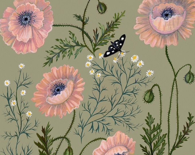 Chamomile and Poppies - Print