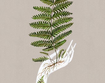 Fern with Cicada - Print