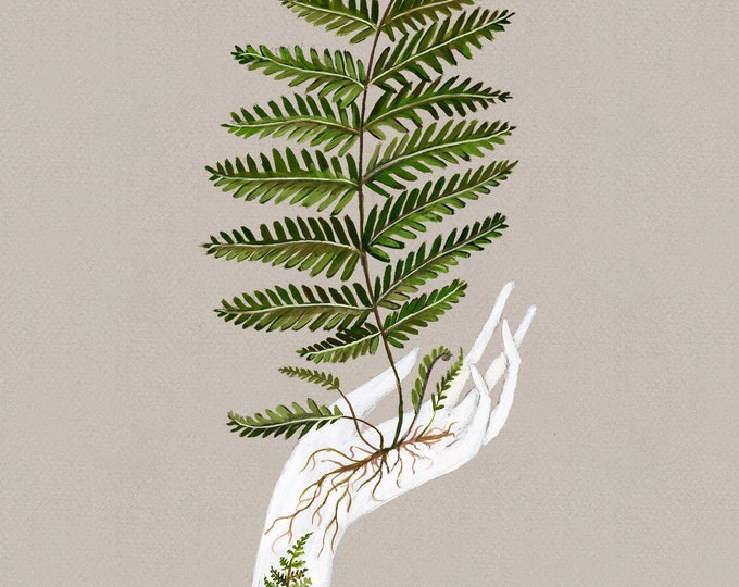 Fern with Cicada - Print