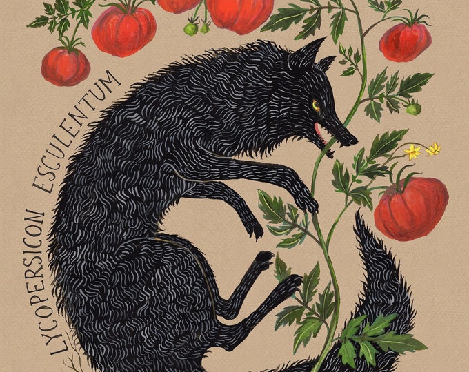 Wolf Peach - Print