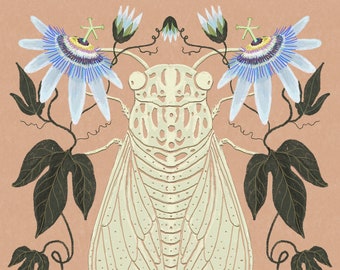 Cicada and Passionflower - Print